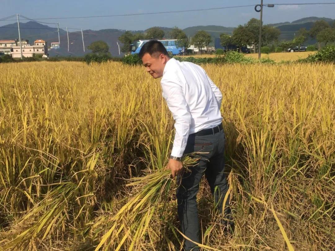 謝沃根積極參與鄉村建設，保護與開發舊村落，帶動村民增收致富，助力鄉村振興