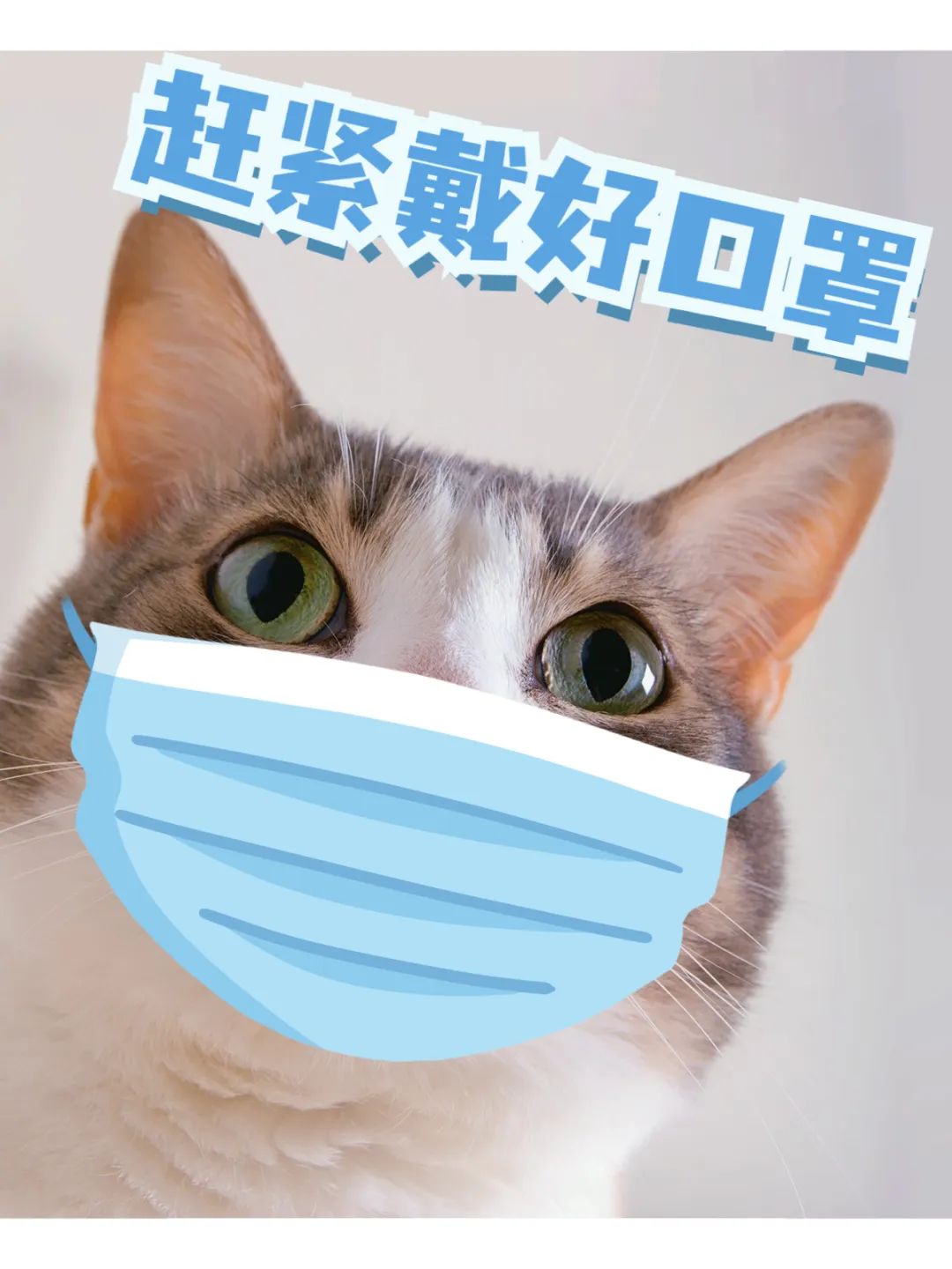 防疫疫情居家生活分享簡約風plog模板 (1).jpg 圖片