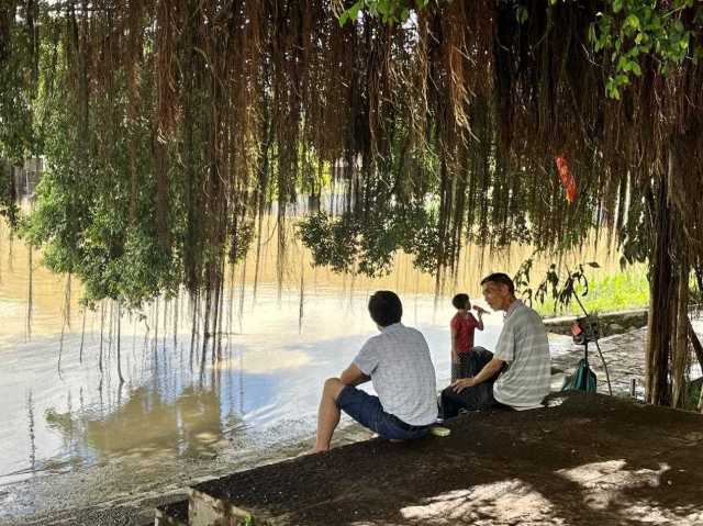 村民在大榕樹下乘涼聊天,黃姨(中)在岸邊唱歌。伍思懿 攝 村民在大榕樹下乘涼聊天,黃姨(中)在岸邊唱歌。伍思懿 攝