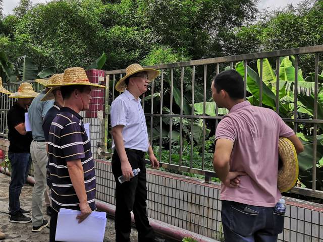 鎮總河長關華俊參加鎮海水干流沙塘段綜合治理工程前期調研督導工作 鎮總河長關華俊參加鎮海水干流沙塘段綜合治理工程前期調研督導工作