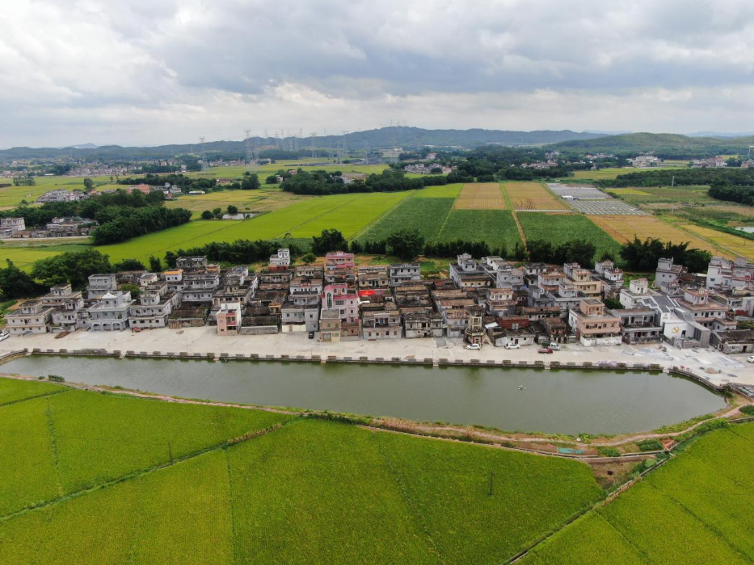 茅岡村.png 圖片