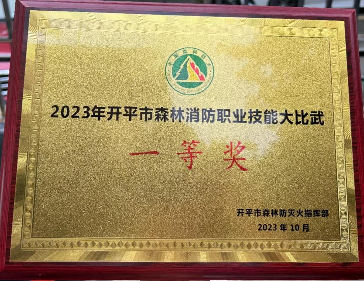 11月 百合鎮(zhèn):退役軍人在森林職業(yè)技能大比武競(jìng)賽獲佳績(jī)_4