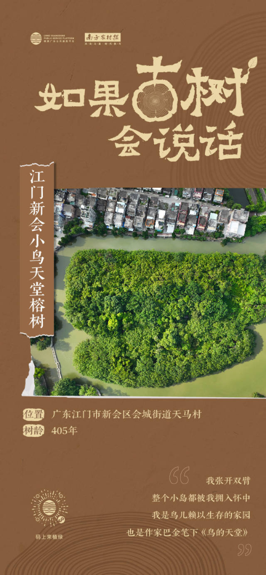 南方農村報 李嘉鎵 制圖