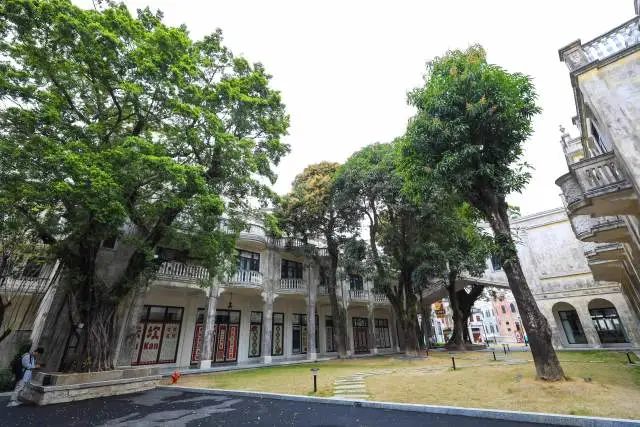 古樹(shù)與美堂酒店的古樸建筑相映成趣。 圖片