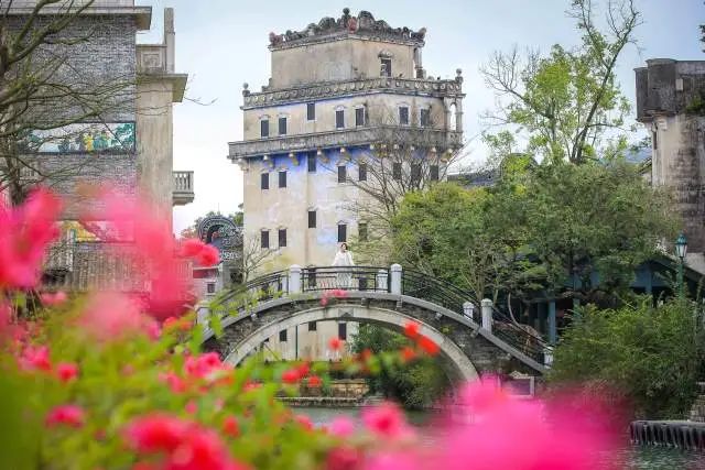 如今的赤坎華僑古鎮(zhèn),四季常綠、四時有花。 圖片