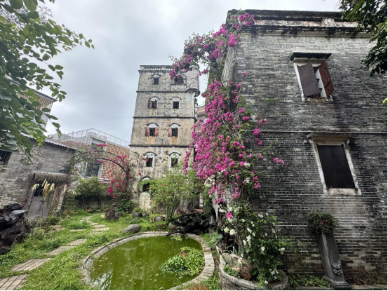 開平市塘口鎮(zhèn)碉樓下的“美麗庭院”——奇石館的故事