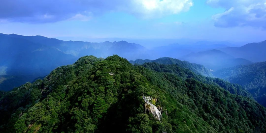 國(guó)際生物多樣性日 | 廣東物種“家底”有多厚？