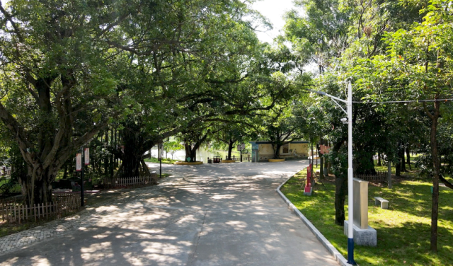 馬岡鎮北湖村。受訪者供圖 圖片