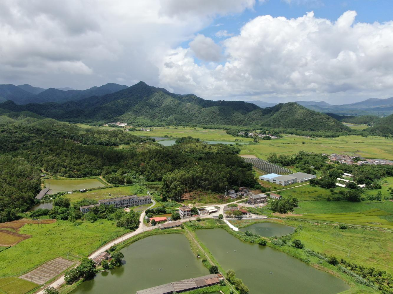 游東村委會航拍俯瞰圖.png