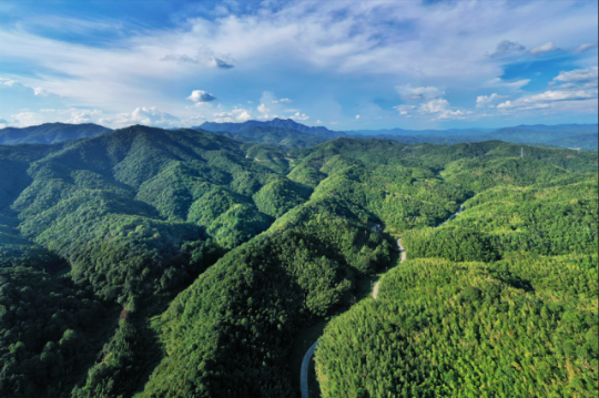 “綠色家底”為廣東林下經濟發展奠定了扎實基礎 “綠色家底”為廣東林下經濟發展奠定了扎實基礎