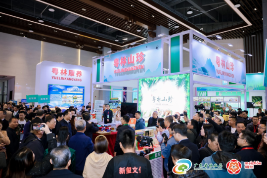 廣東聚力打造“粵林+”特色品牌 廣東聚力打造“粵林+”特色品牌