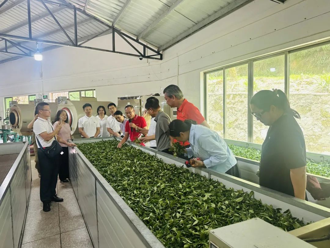 天露仙緣 (6).jpg