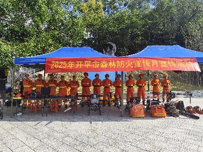 多部門聯動強宣傳!市森防辦開展森林防滅火主題宣傳活動筑牢安全防線.docx_1