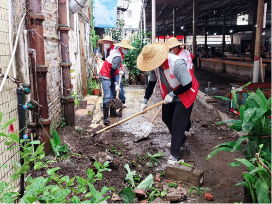 自動(dòng)轉(zhuǎn)存圖片
