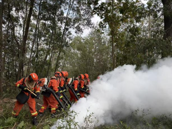 以演促練強本領 筑牢防線護平安—— 2025年開平市森林火災撲救實戰聯合演練順利舉辦