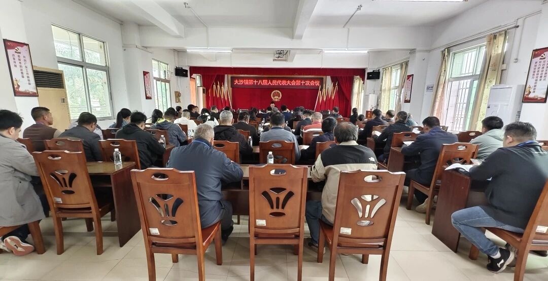 為民履職顯擔當 實干篤行建新功——大沙鎮第十八屆人民代表大會第十次會議勝利召開