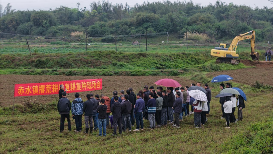 赤水鎮(zhèn)召開撂荒耕地復(fù)耕復(fù)種現(xiàn)場會 以實(shí)干筑牢糧食安全屏障