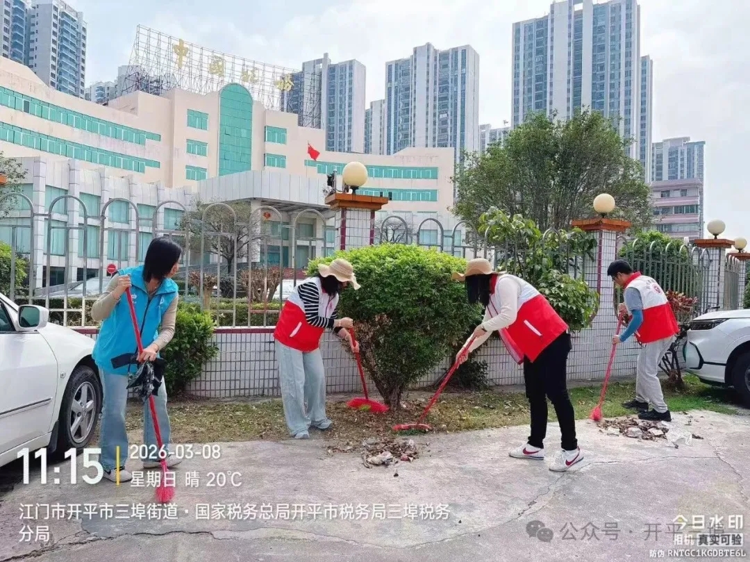 再部署、再落實、再推進！三埠街道全面啟動新一輪冬春季愛國衛生運動暨消滅越冬蚊統一行動
