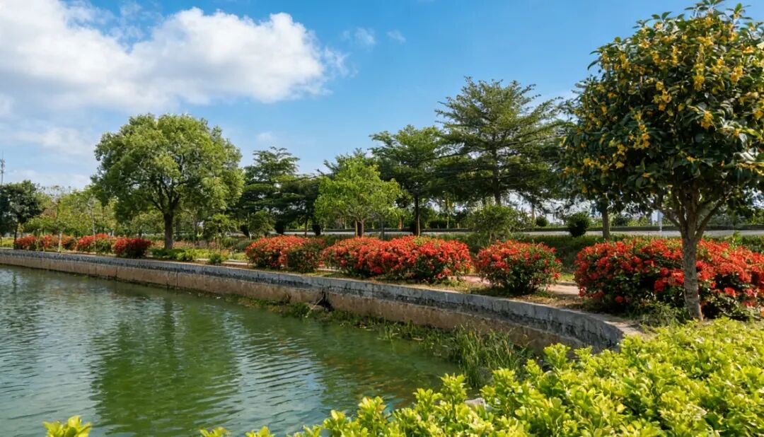 點(diǎn)贊！龍勝鎮(zhèn)現(xiàn)龍村、橋聯(lián)村被評(píng)為廣東省第三批“百縣千鎮(zhèn)萬(wàn)村高質(zhì)量發(fā)展工程”典型村