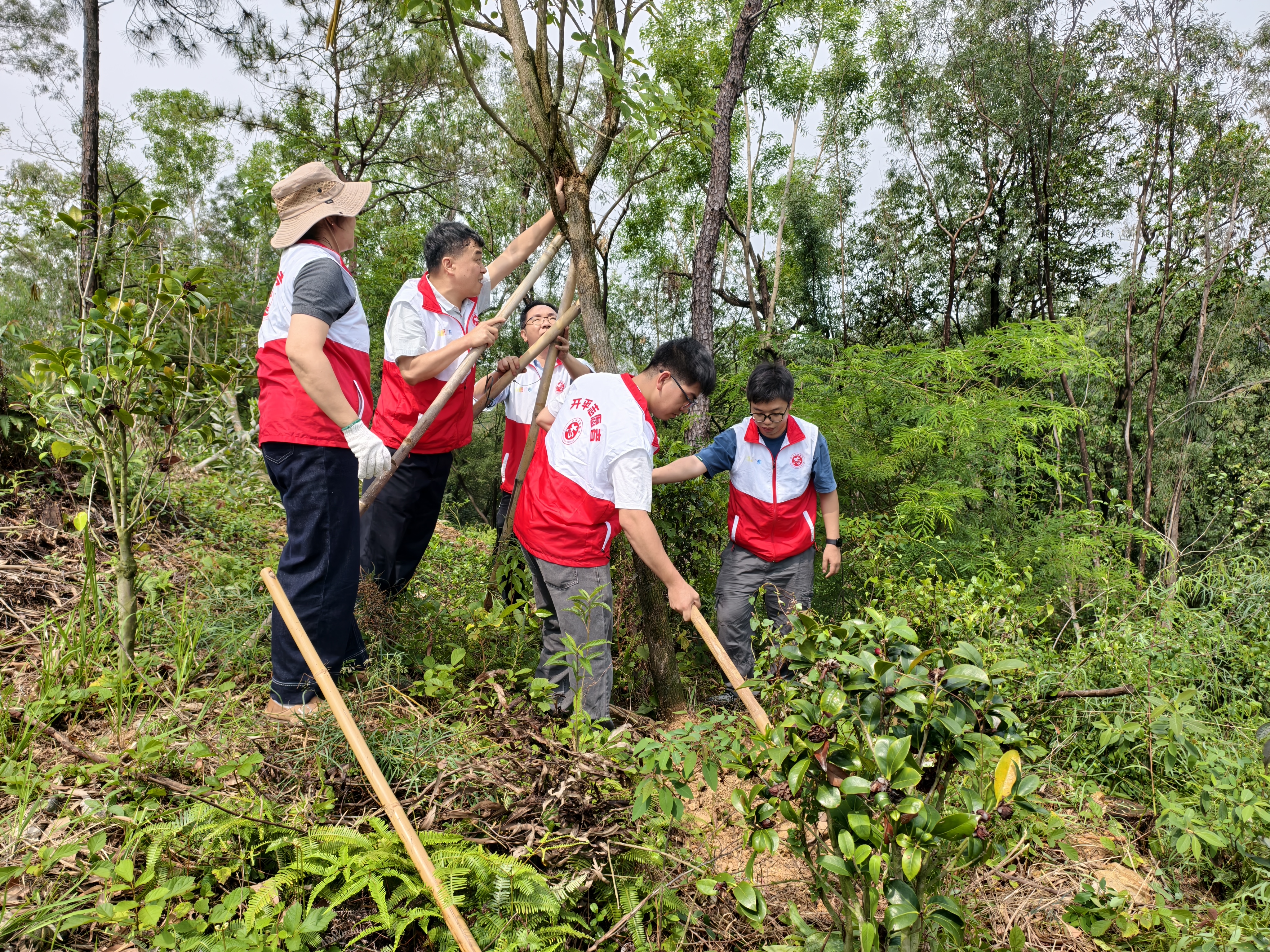 市林業(yè)局開(kāi)展“林下?lián)嵊M責(zé)”主題黨日活動(dòng)