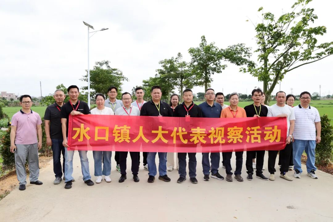 履職盡責察實情 建言獻策惠民生丨水口鎮人大開展第一季度視察調研活動