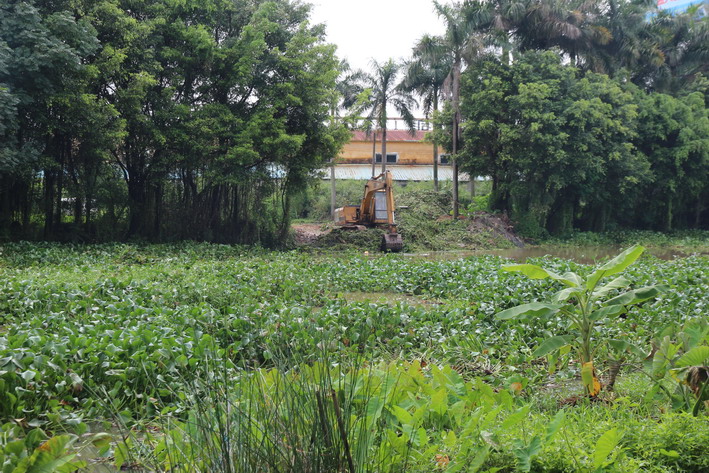 C:UsersadminDesktop20萬平方米水浮蓮占領轄區河渠 長沙街道向污染宣戰22_調整大小.jpg C:UsersadminDesktop20萬平方米水浮蓮占領轄區河渠 長沙街道向污染宣戰22_調整大小.jpg